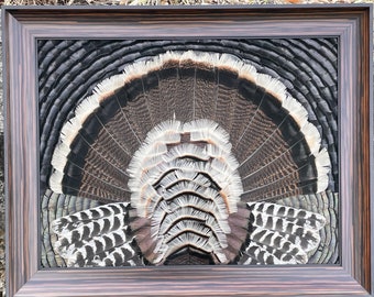 22” x 28”  Feather Art Wild Merriams Turkey