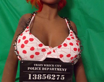 Mugshot Placard Trainwreck City Police