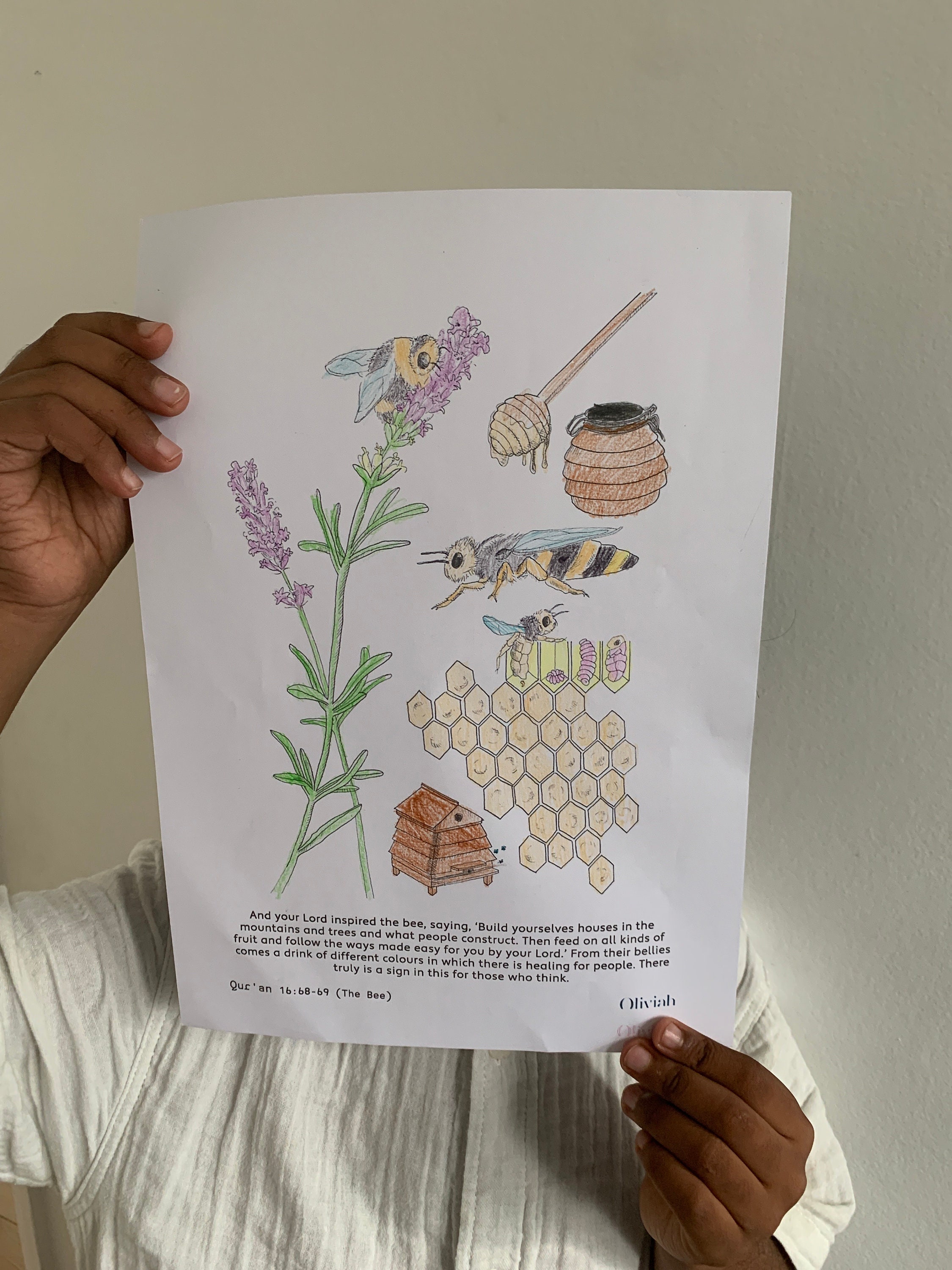 Islamic Colouring Pages for Children & Adults. Nature in the - Etsy
