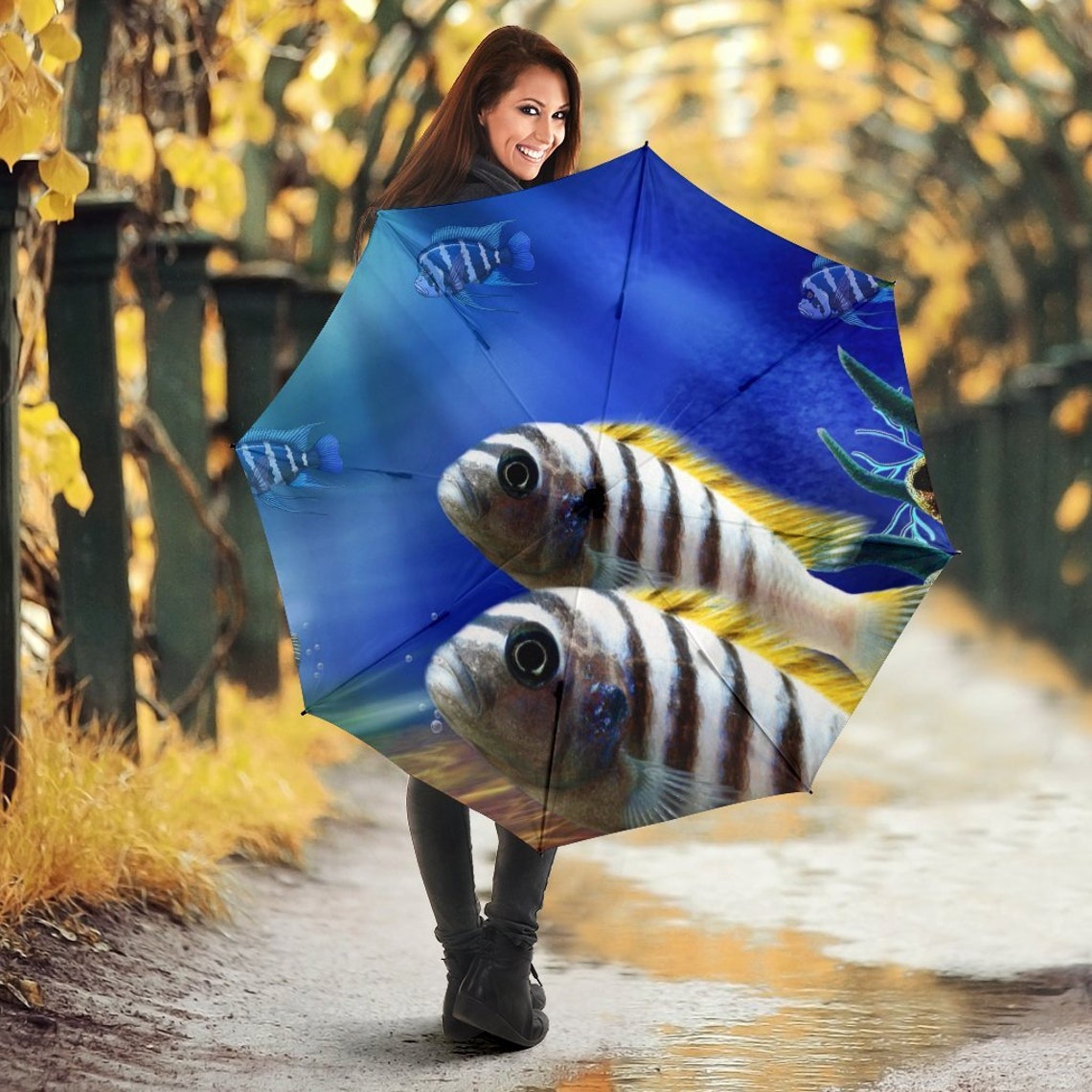 Afra cichlid fish Print Umbrellas Etsy