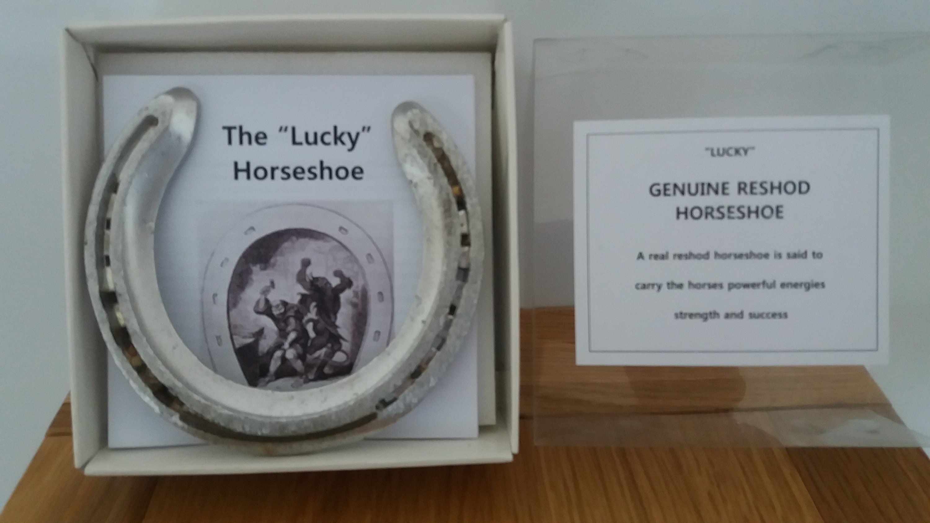 Lucky Horseshoe Etsy
