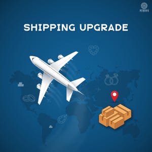 Puede incluir: Un avión blanco volando sobre un mapa del mundo con un alfiler rojo marcando una ubicación. El avión lleva una pila de cajas marrones, lo que indica una actualización de envío.