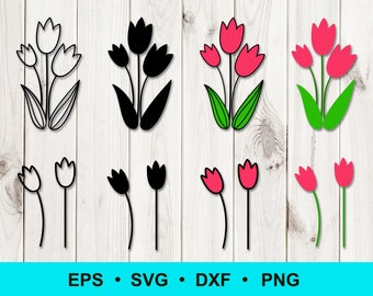 Download Tulip Daisy Etsy