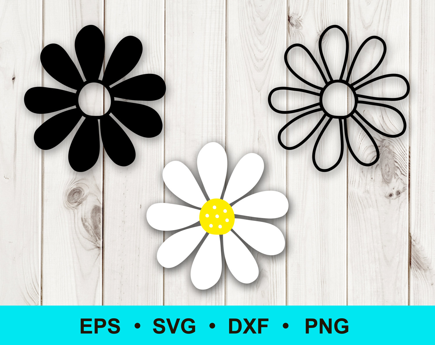 Daisy flower SVG PNG DXF eps. Simple flower shape cut | Etsy