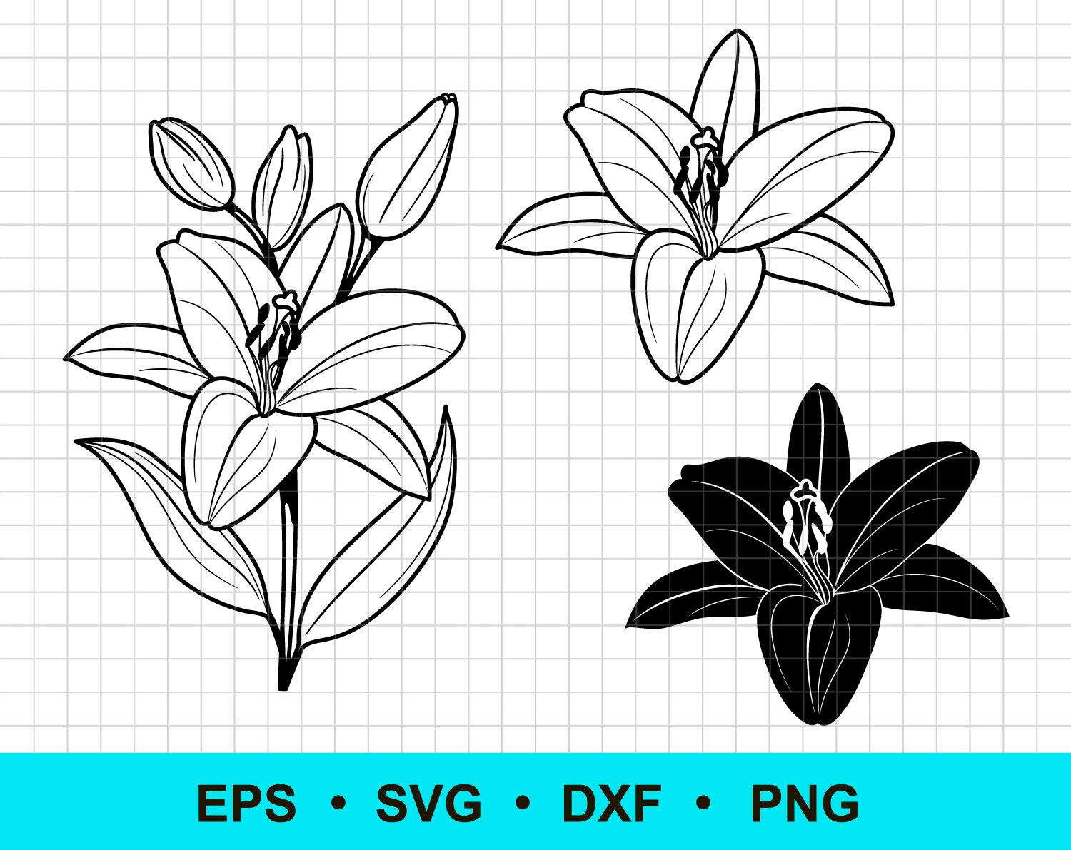 Lily svg lily flower svg png dxf eps. Lily flower Etsy
