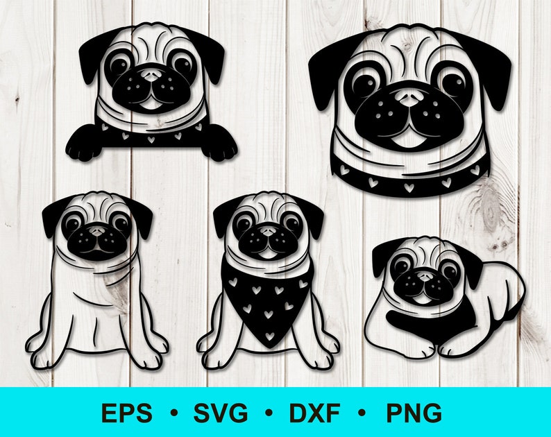 Commercial use Pug clip art PNG digital vector clipart. DXF Cute Pug cut files Funny puppy pug Pug svg baby dog SVG eps