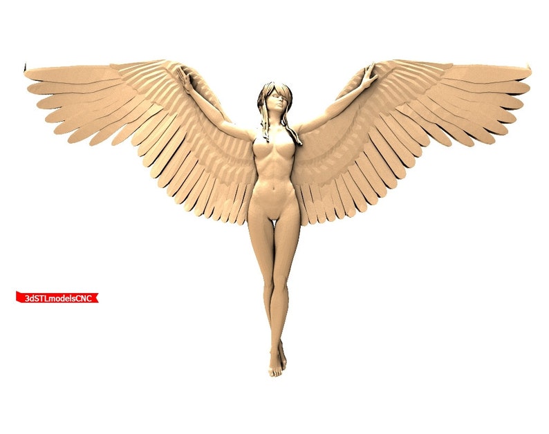 3d STL Model Relief for CNC Router /_ Angel Wings /_0039