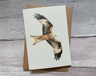 Soaring Red Kite - A6 Greetings Card With Kraft Envelope - Bird Cards - Blank Card - Birthday Card - Thank You - Notecard