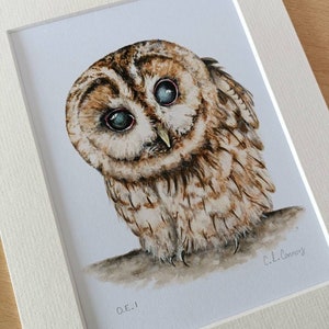 Owl Wall Art - Fine Art PRINT signed - Tawny Owl Watercolour Painting - British Birds - Wildlife Gift