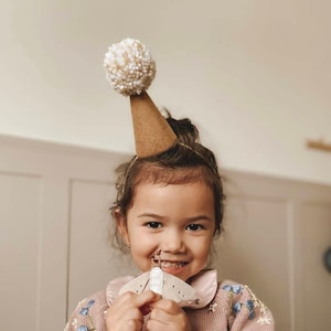 PartyHat, Mini Party Hat, Birthday Hat, First Birthday Hat, 2nd Birthday Hat | Brown Hat, Half Birthday, Birthday party,