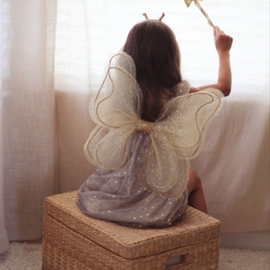 wings,wings with sequins, Fairy Wings, butterfly costume for child, costume wings, butterfly for birthday, flower girl