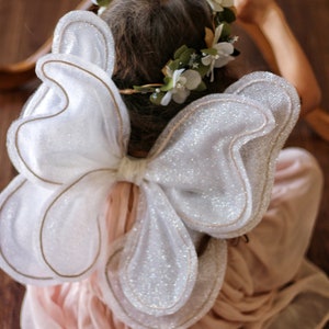 Shiny Wings, Fairy Wings, Butterfly Costume for Child, Costume Wings, Birthday Butterfly, Flower Girl