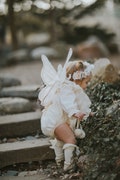 Wings, Butterfly wings, Fairy Wings, Ivory wings, chamomile fairy wings, butterfly costume for a child, costume wings, birthday butterfly