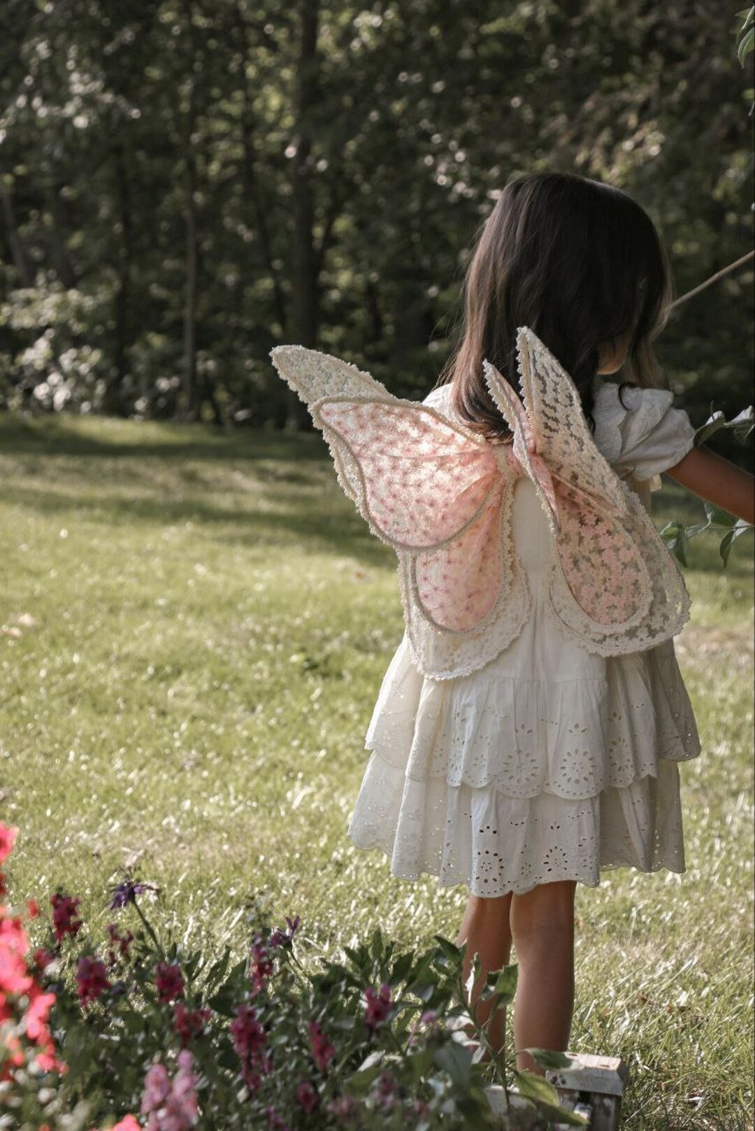 Wings,fairy Wings, Openwork Wings ,butterfly Costume for Child 