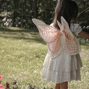 wings,Fairy Wings, Openwork wings ,butterfly costume for child, costume wings, butterfly for birthday, flower girl,wings