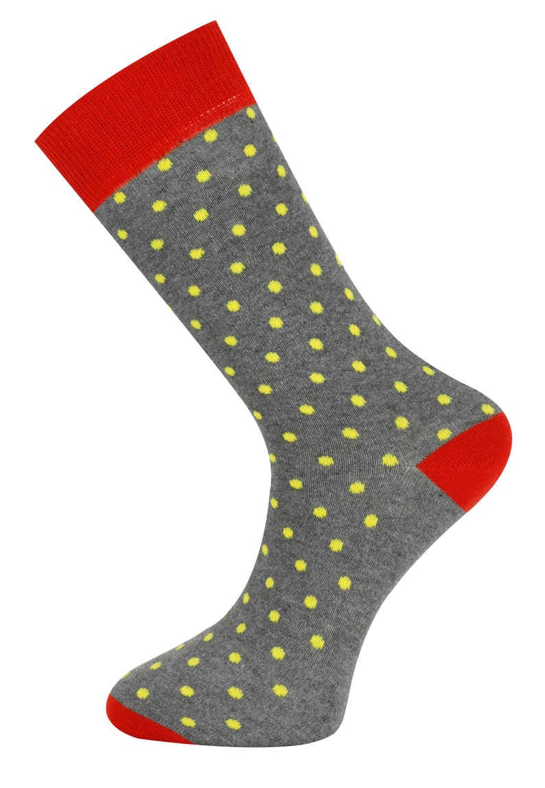 Mysocks Unisex Extra Fine Combed Cotton Crew Socks | Colourful