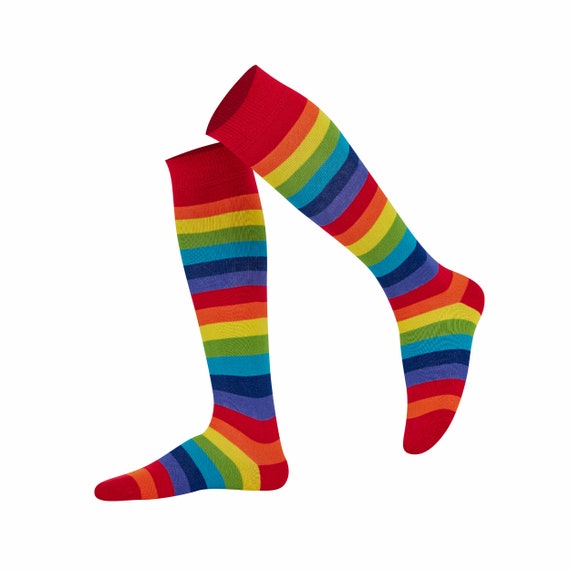 Mysocks Knee High Stripe Rainbow Socks 