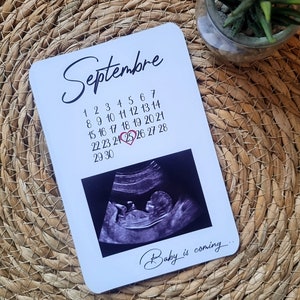 Pregnancy Announcement Card – Calendar & Ecography