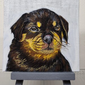 Custom Pet Portrait, Acrylic Painting of your Cat, Dog, from photo, on Canvas, Professional Hand Painted Art