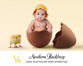 Digital Newborn Backdrop, Newborn Digital Background/Prop, Newborn in chocolate egg with chickens