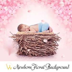 Digital Newborn Background Backdrop, Floral Backdrop, Newborn in nest, Newborn Props for Photography, Digital Backdrop, Spring Flowers