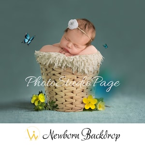 Sfondo digitale neonato, Fotografia neonato, Sfondo neonato, bambino che dorme in cesto con fiori con farfalle