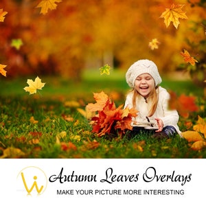 Autumn Leaves Overlays for Photographers - Photography Tools - Falling Leaves - Border Frame