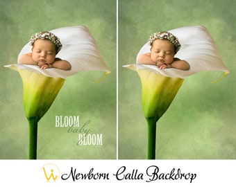 Newborn Digital Background, Floral Backdrop, Newborn Background, Calla Flowers, Newborn Photography Prop, Newborn Prop, Photo Baby