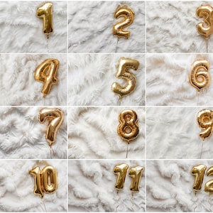 Fondo digital 12 fotografía de doce meses fondo blanco para bebé recién nacido niño niña con globos de números un año
