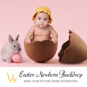 Newborn Digital Easter Backdrop - Strumenti fotografici - Bellissimo sfondo - Foto neonato - Cartolina uova di Pasqua - Servizio fotografico