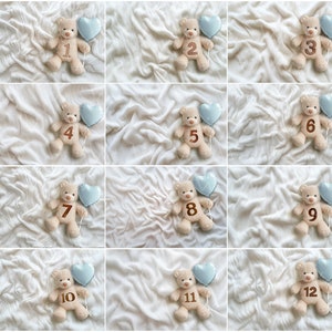 Toile de fond numérique 12 douze mois photographie fond blanc tricoté pour nouveau-né garçon avec numéro de mois un an avec jouet ours