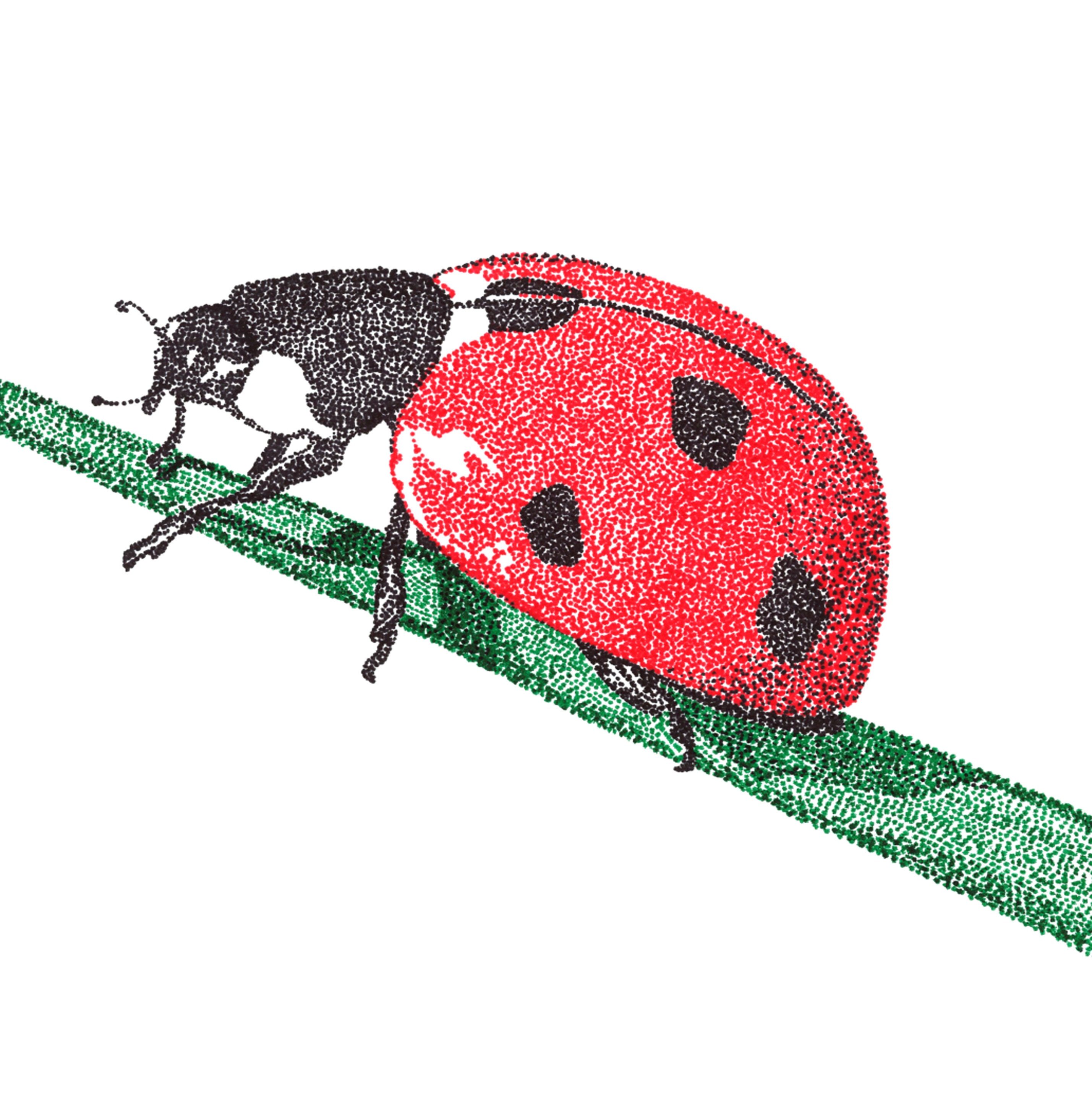 Set of 3 Instant Art Prints for Nursery Wall Decor, Ladybug ...