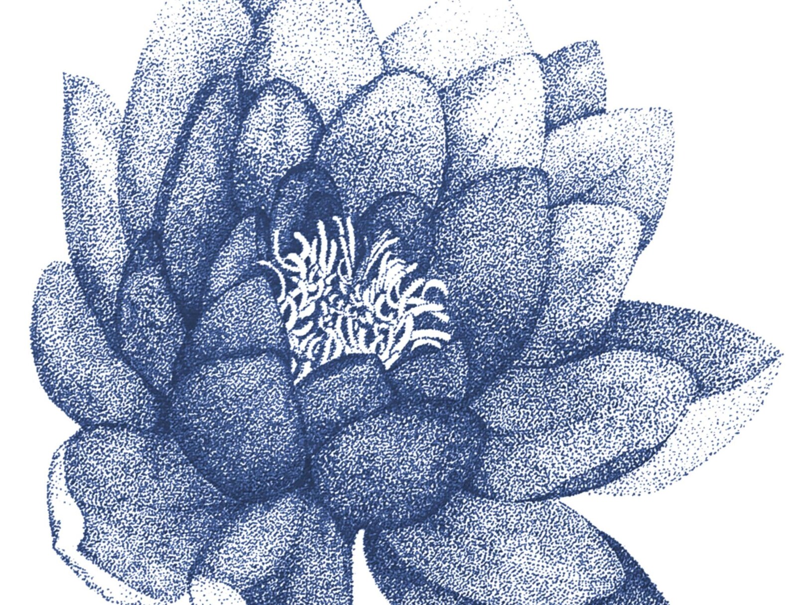 Floral Set of 2 Prints. Navy Blue Lotus Flower Wall Art for - Etsy
