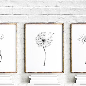 Printable dandelion art set of 3 prints, monochrome floral living room wall art