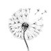 Printable Dandelion Art Set of 3 Prints Monochrome Floral - Etsy