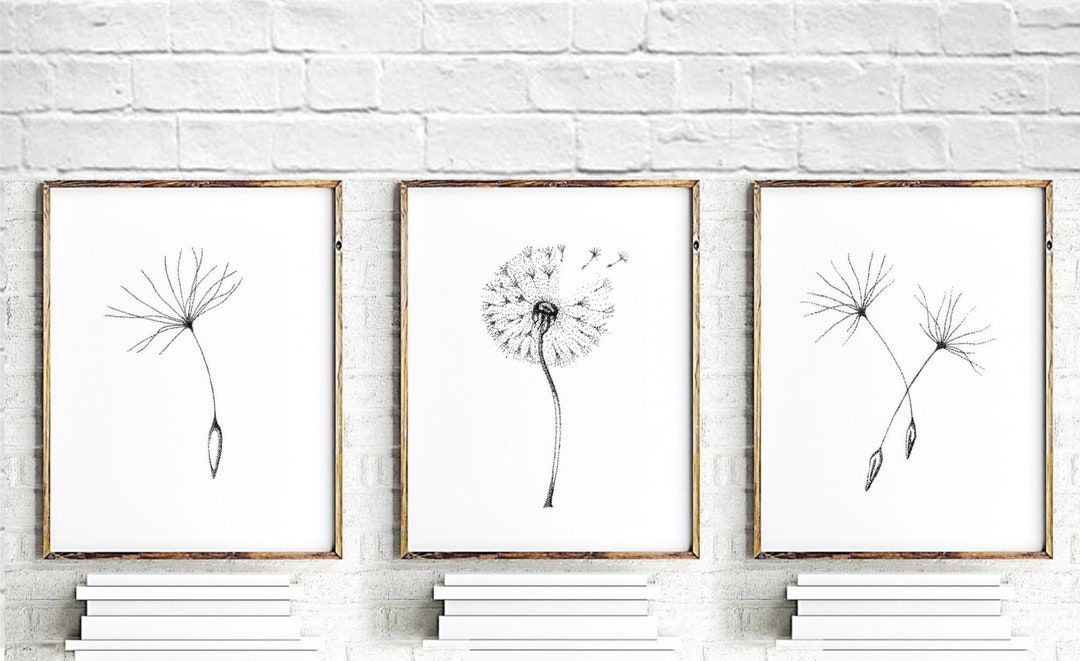 Minimalist Fine Art Print Set of 3 Dandelions. Contemporary Floral Art