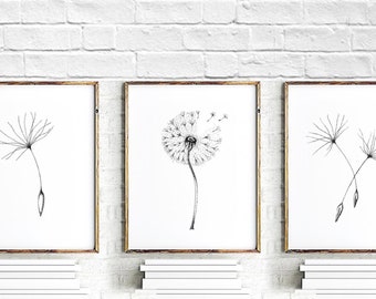 Minimalist fine art print set of 3 dandelions. Contemporary Floral art prints set for wall decor nursery.
