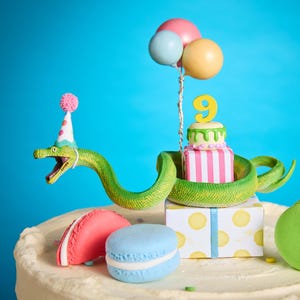 May include: A whimsical birthday cake featuring a green snake with a party hat, encircling a gift box and a small cake with a number 9 on top. Colorful macarons and balloons complete the festive scene.