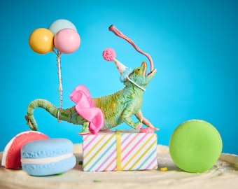Chameleon Party Animal Cake Topper: Creep Slither Crawl Lizard Themed Birthday Cake