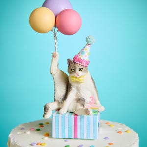 Party Animal Cat Cake, Cat Themed Birthday, Grey and White Cat Cake Topper, Unique Birthday Gift for Cat Lover