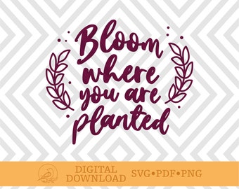 Bloom Where You Are Planted, SVG, Cut File, Cricut Cutout, Cricut SVG File, Floral SVG, Boho, svg sayings