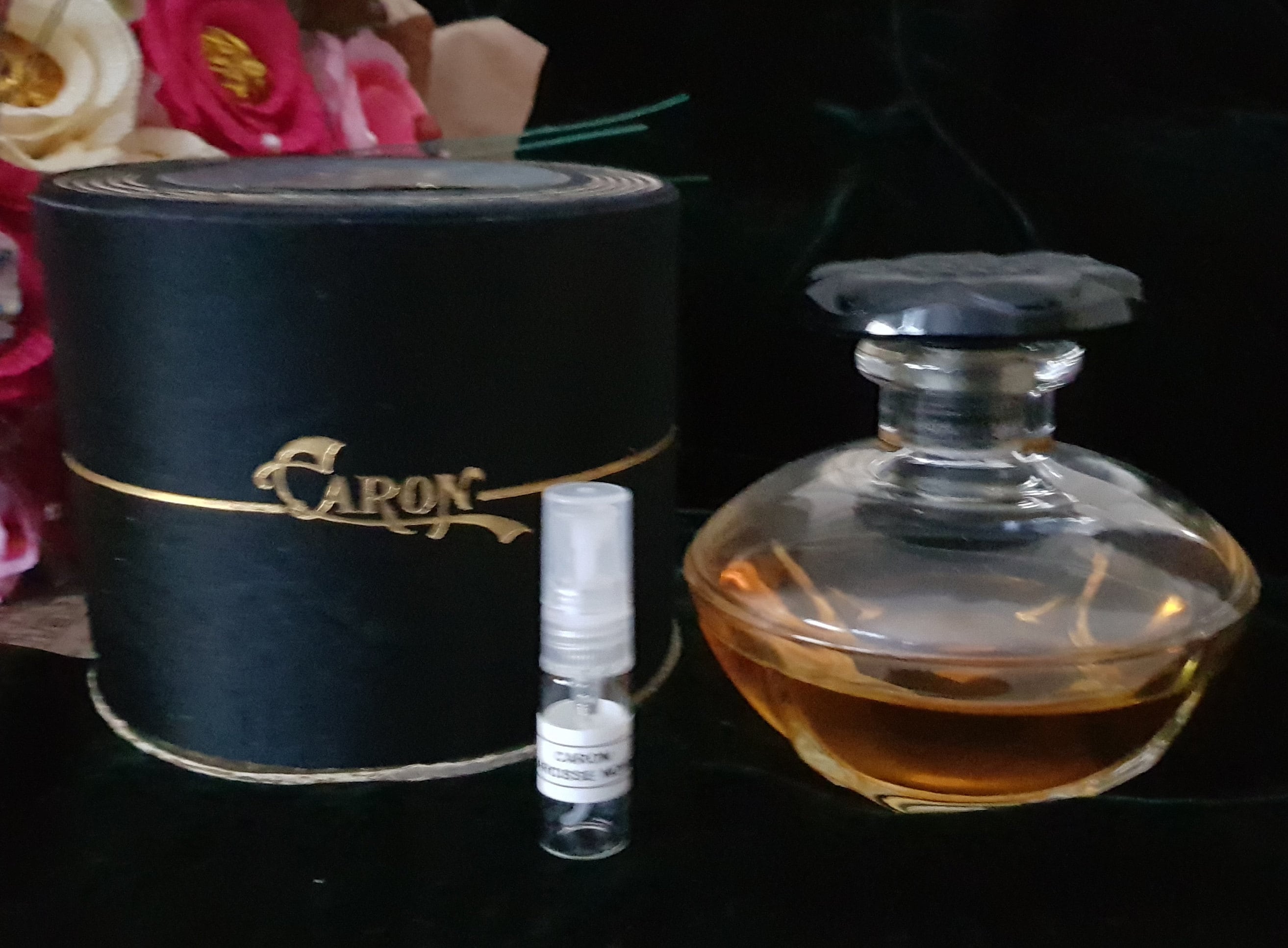 Narcisse Noir Caron - Etsy