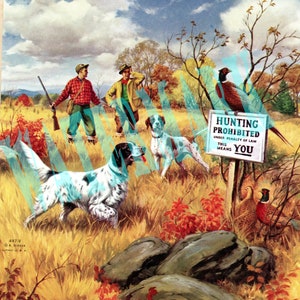 Upland Bird Game Hunting; Pheasant and Partridge Hunting Dogs
