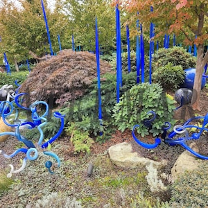 Dale Chihuly Glass Sculpture (photos)