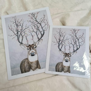 Spring Deer Art Print