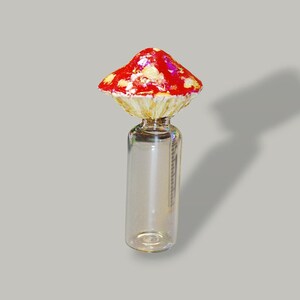 Mushroom Jar | Sculpted Mushroom Container | Cute & Functional Home Decor