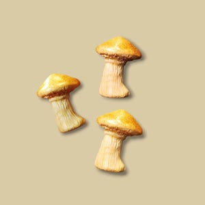 Mushroom Magnet | Whimsical Forest Decor | Unique Nature-Inspired Magnet