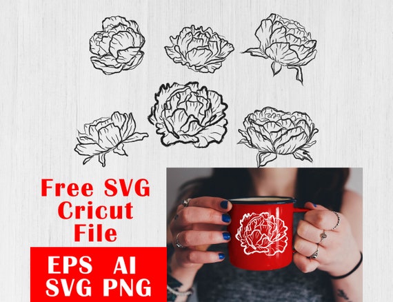 Peony Svg Flower Svg Flowers Clipart Hand Drawn Floral Etsy