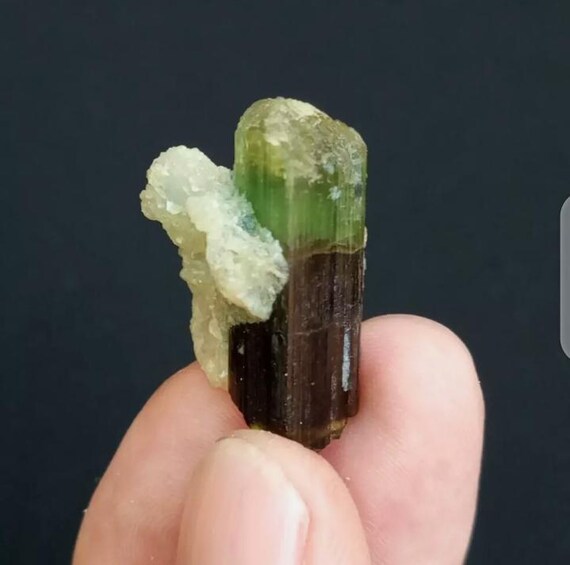 パキスタン、ステクナラ・ギルギット・バルティスタン産のアルバイト