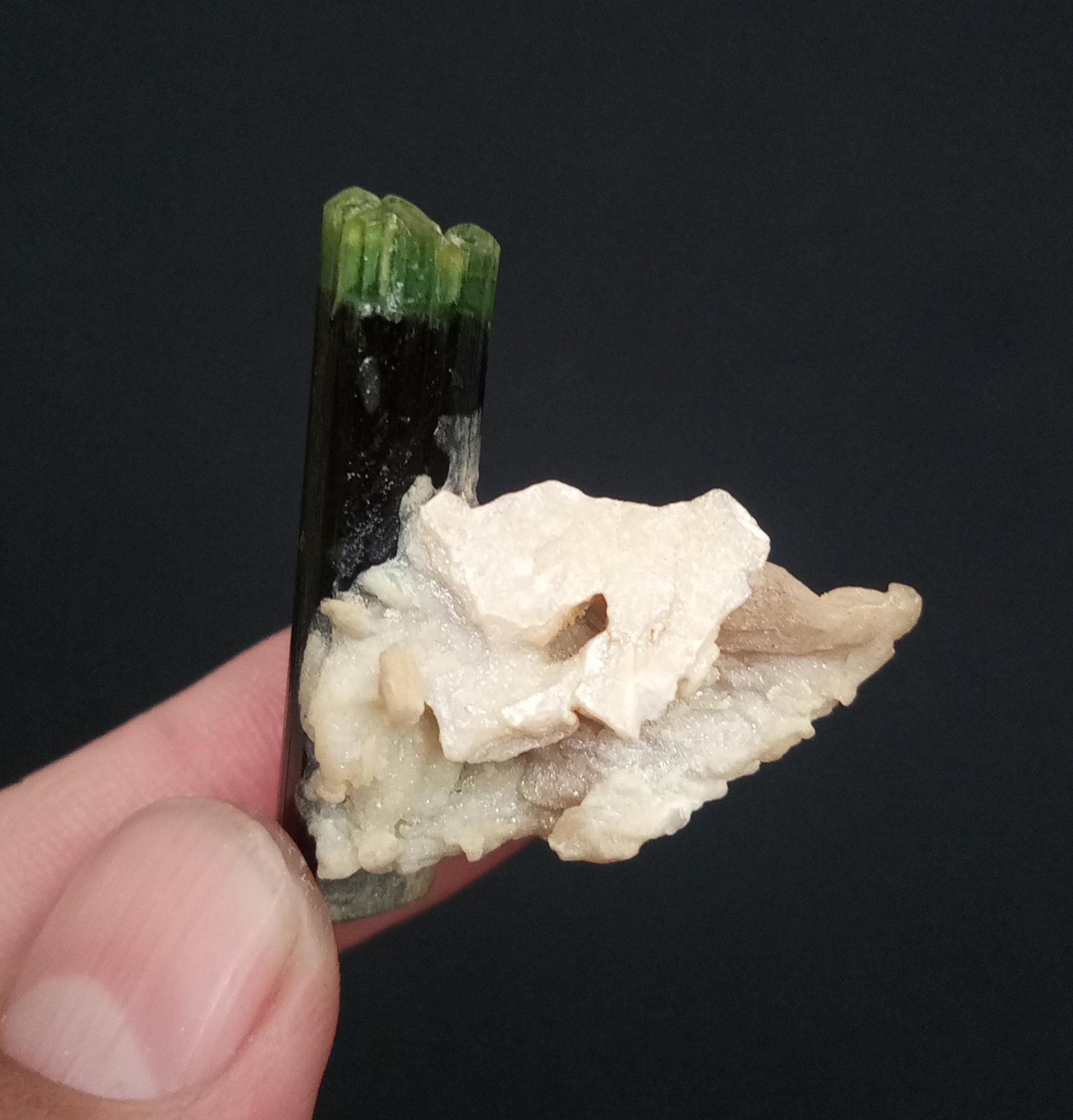 トルマリン　エルバイト　tourmaline Afghanistan 鉱物標本 アフガニスタン産 トルマリン | 鉱物標本,タ行,トルマリン/電気